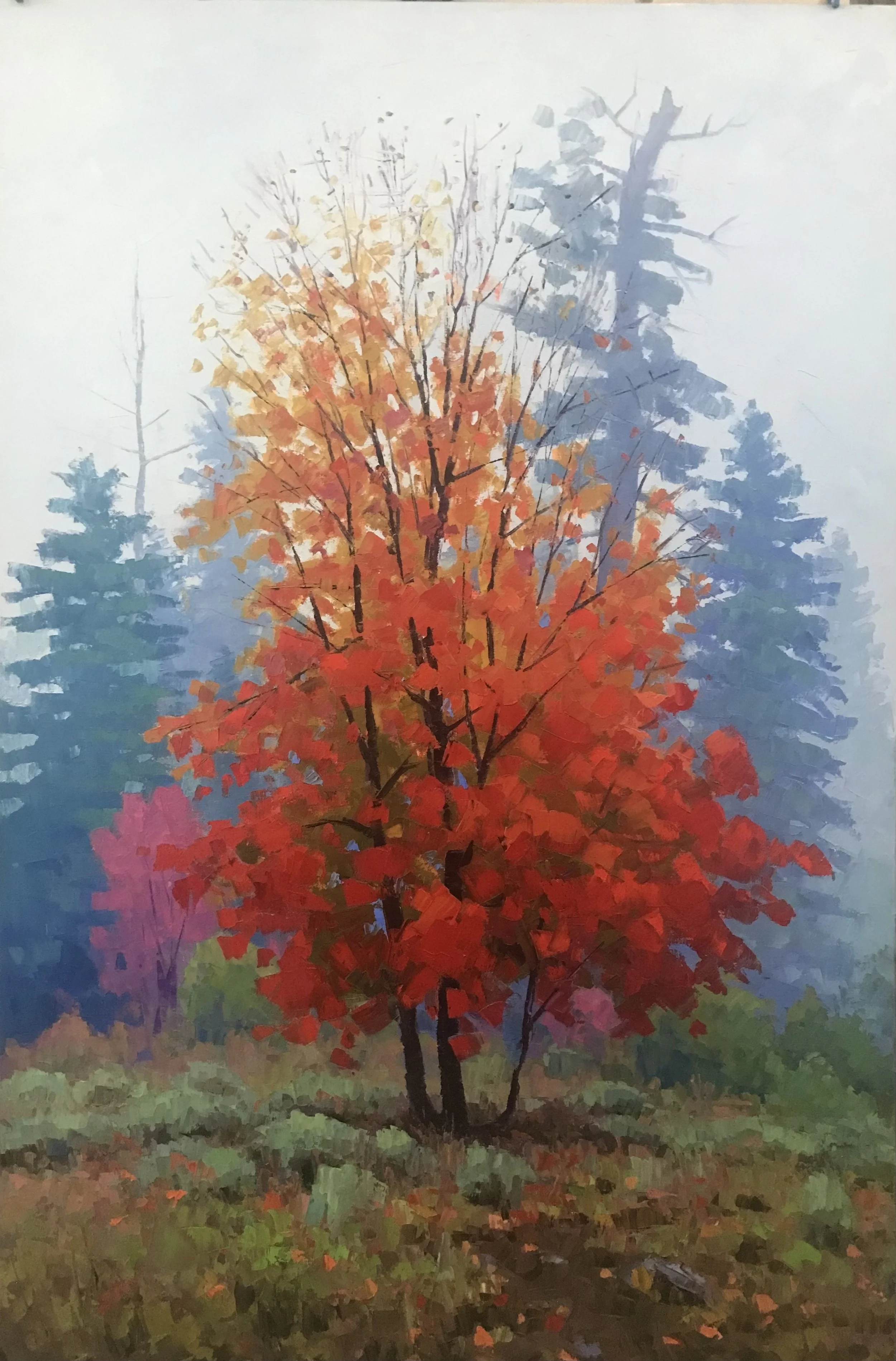 Douglas Aagard — Dick Idol Signature Gallery